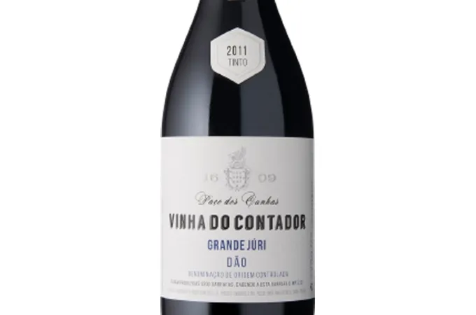 Vinha do Contador Grande Júri (2015)